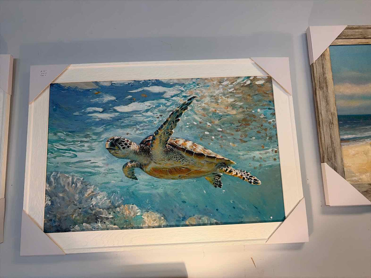 Brand New Ocean Sea Turtle Print