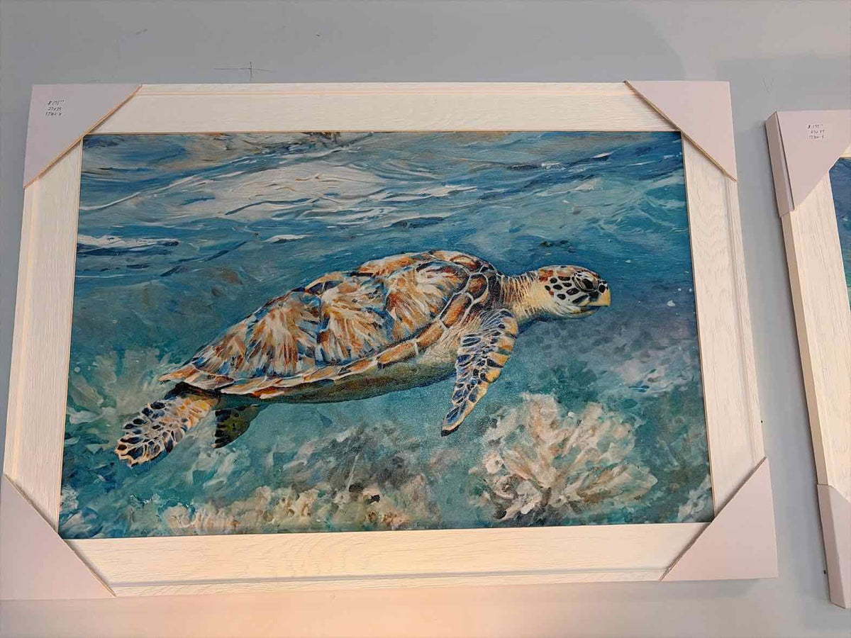 Brand New Ocean Sea Turtle Print